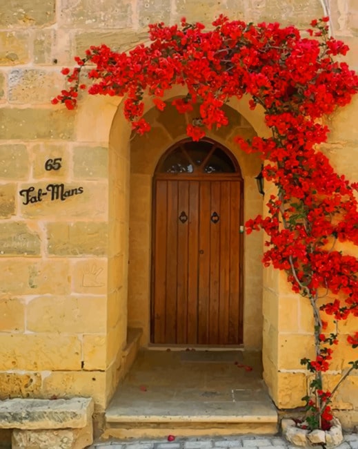 Door With Red Flowers Paint By Numbers