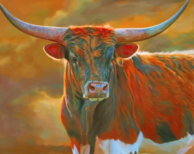 Longhorn Bull Paint By Numbers