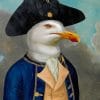 Captain Seagull Paint By Numbers