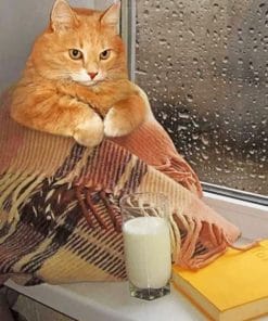 Cozy Cat Paint By Numbers