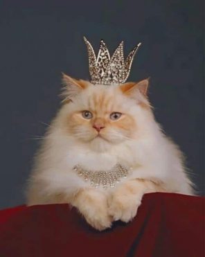 Cat With A Crown paint by numbers