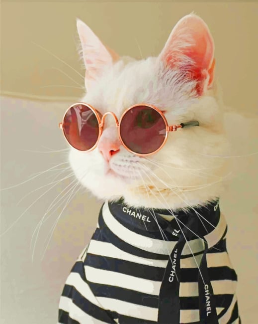 Cat In Sunglasses Paint By Numbers
