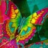 Colorful Butterfly Paint by numbers