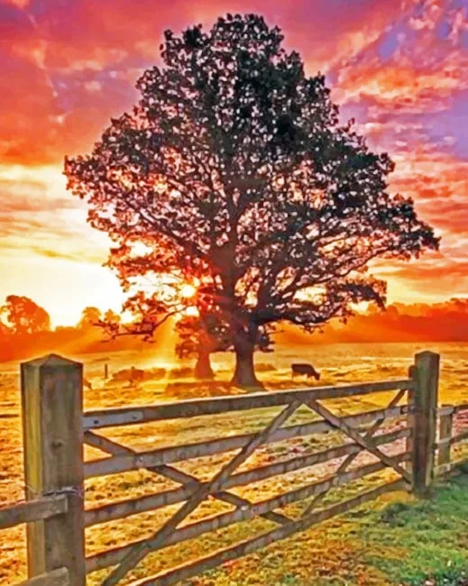 Countryside Sunset Paint By Numbers