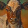 Brown And White Cow Paint By Numbers