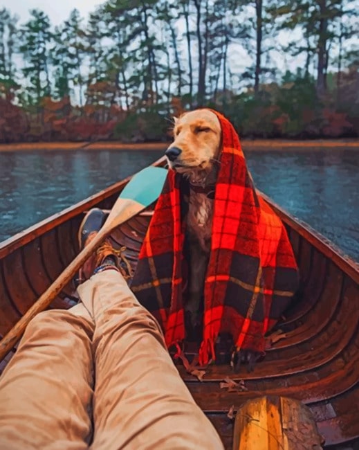 Dog In Boat With Blanket Paint by numbers
