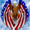 Eagle American Flag paint by numbers