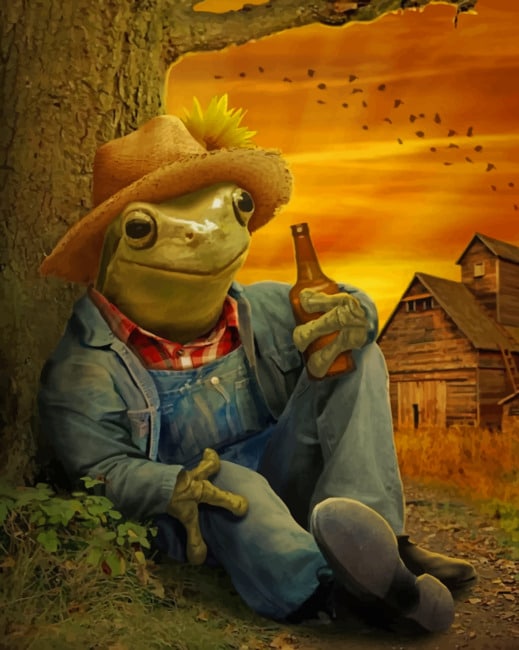 Farmer Frog Paint by numbers