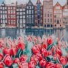 Amsterdam Tulips Paint By Numbers