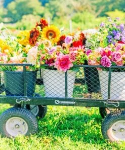 Flowers Pots Paint By Numbers