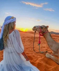 Girl And Camel Paint By Numbers