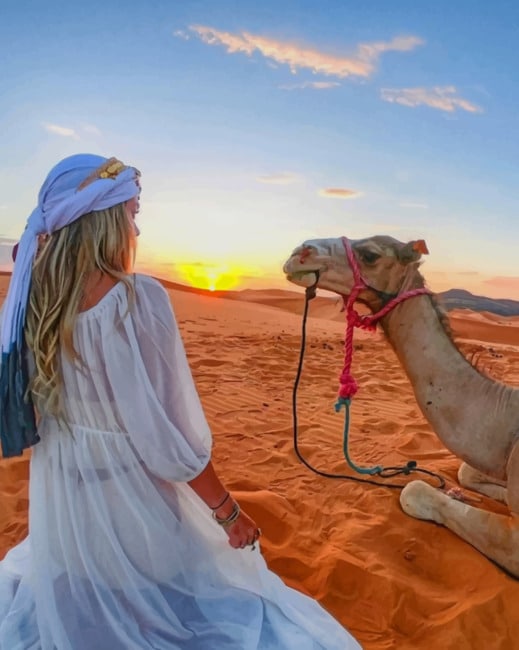 Girl And Camel Paint By Numbers