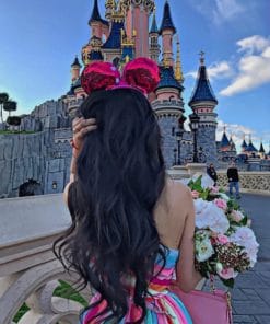 Girl In Disneyland Castle Paint By Numbers