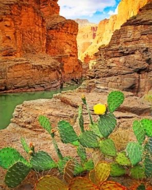 Grand Canyon National Park Cactus paint by numbers
