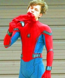Tom Holland Spider Man Paint By Numbers