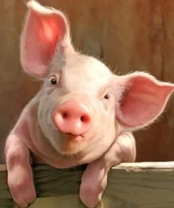 Pig Animal Paint By Numbers