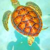 Hawksbill Sea Turtle paint by numbers