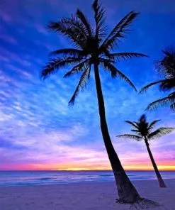 Hollywood Beach Paint By Numbers