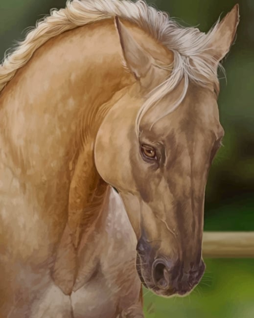 Blonde Horse Paint By Numbers
