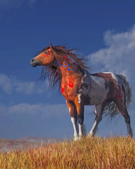 Horse With War Paint Paint by numbers
