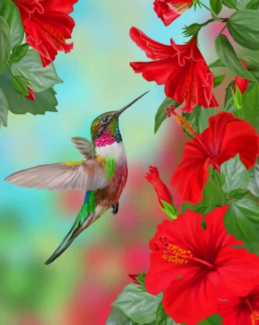 Hummingbird Foraging Pink Flowers Adults Paint by Numbers Kit Free Shipping  From California, USA 