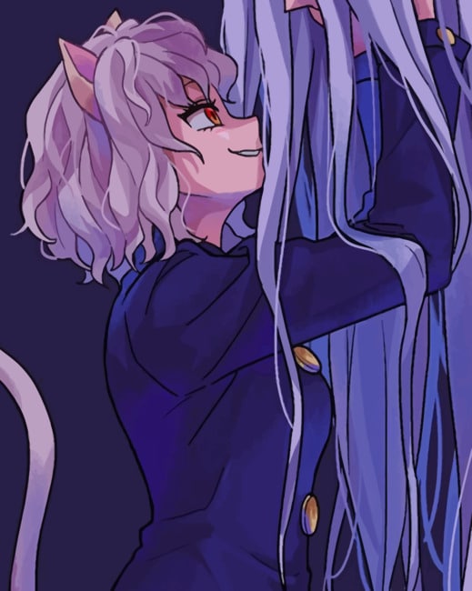 Neferpitou Hunter x Hunter Paint By Numbers