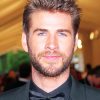 Liam Hemsworth paint by numbers