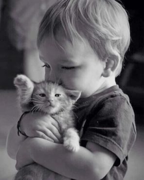 Little Boy Hugging His Kitty Paint by numbers