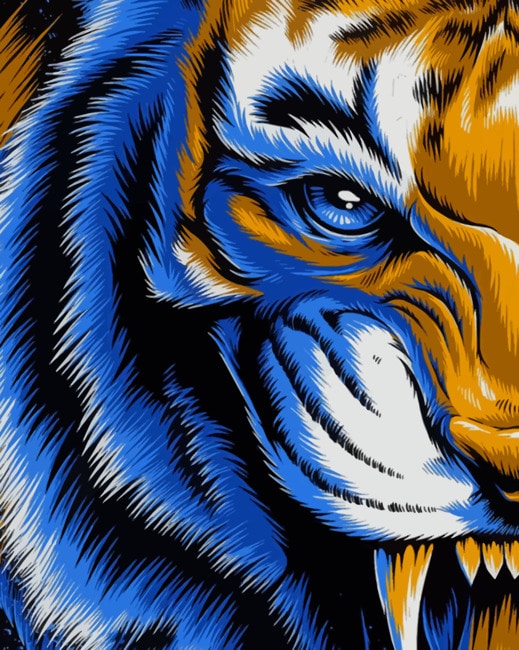 Mad Tiger paint by numbers