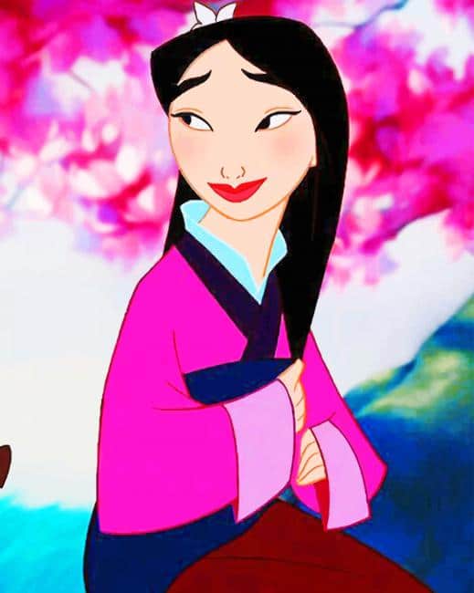 Beautiful Mulan Paint By Number Painting Set