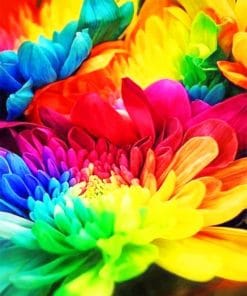 Multicolored Flowers Paint By Numbers