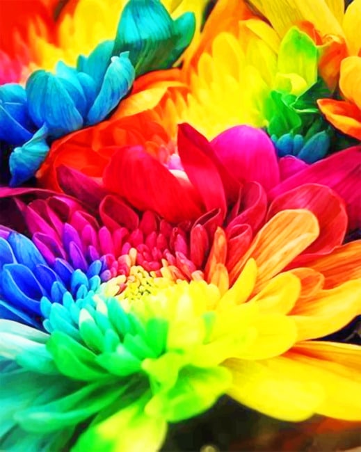 Multicolored Flowers Paint By Numbers