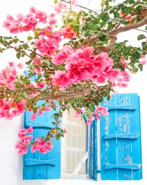 Mykonos Pink Flowers paint by numbers