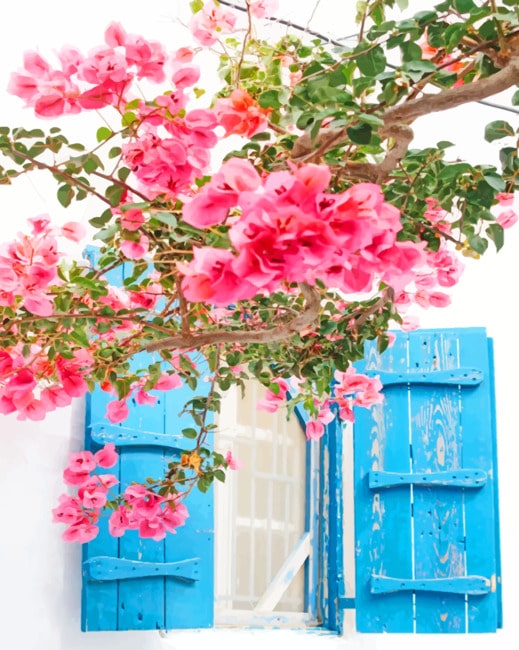Mykonos Greece Pink Flowers - NEW Paint By Numbers - Numeral Paint