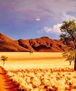 NamibRand Nature Reserve Paint By Numbers