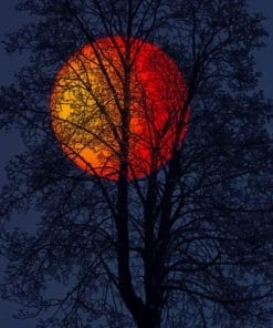 Red Full Moon Paint By Numbers