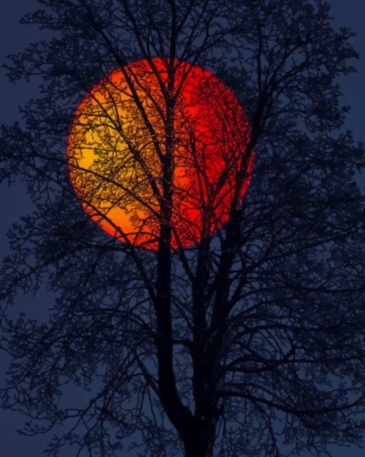 Red Full Moon Paint By Numbers