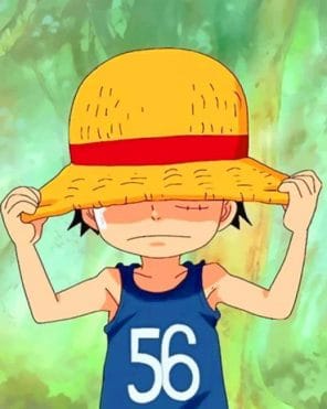 One Piece Luffy Paint By Numbers - Numeral Paint Kit