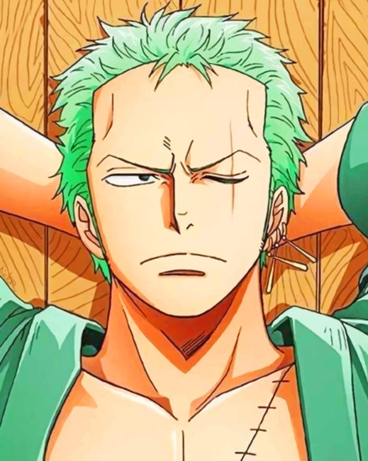 One Piece Zoro New Paint By Numbers Numeral Paint