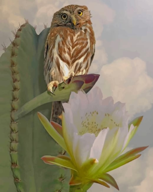 Owl And Cactus Paint by numbers