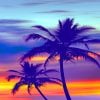 Palm Tree Purple Sunset paint by numbers