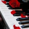 Red Rose On Piano Paint By Numbers