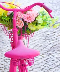 Pink Bike Flowers paint by numbers