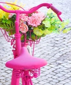 Pink Bicycle And Flowers Paint By Numbers