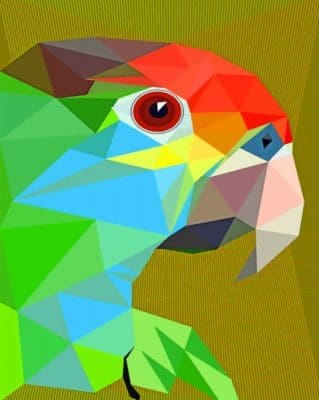 Geometric Parrot Paint By Numbers - Numeral Paint Kit