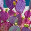 Purple Cactus Paint By Numbers