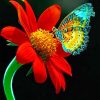 Red Flower With Colorful Butterfly