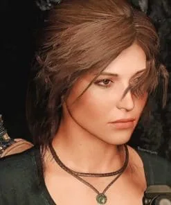 Lara Croft Paint By Numbers