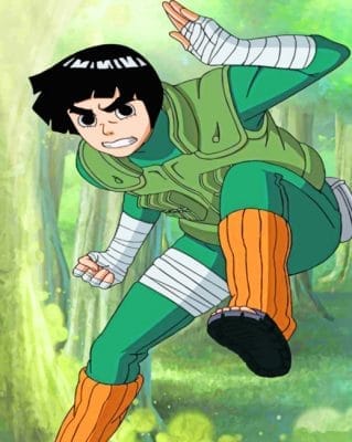 Rock Lee - NEW Paint By Numbers - Numeral Paint