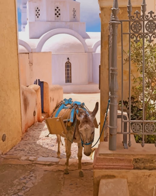 Greek Donkey Paint By Numbers